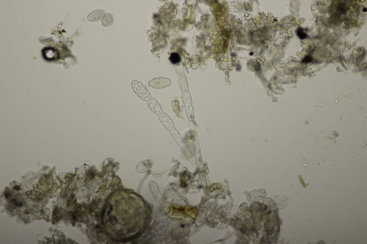 Effringhauser Schweiz-0034.jpg