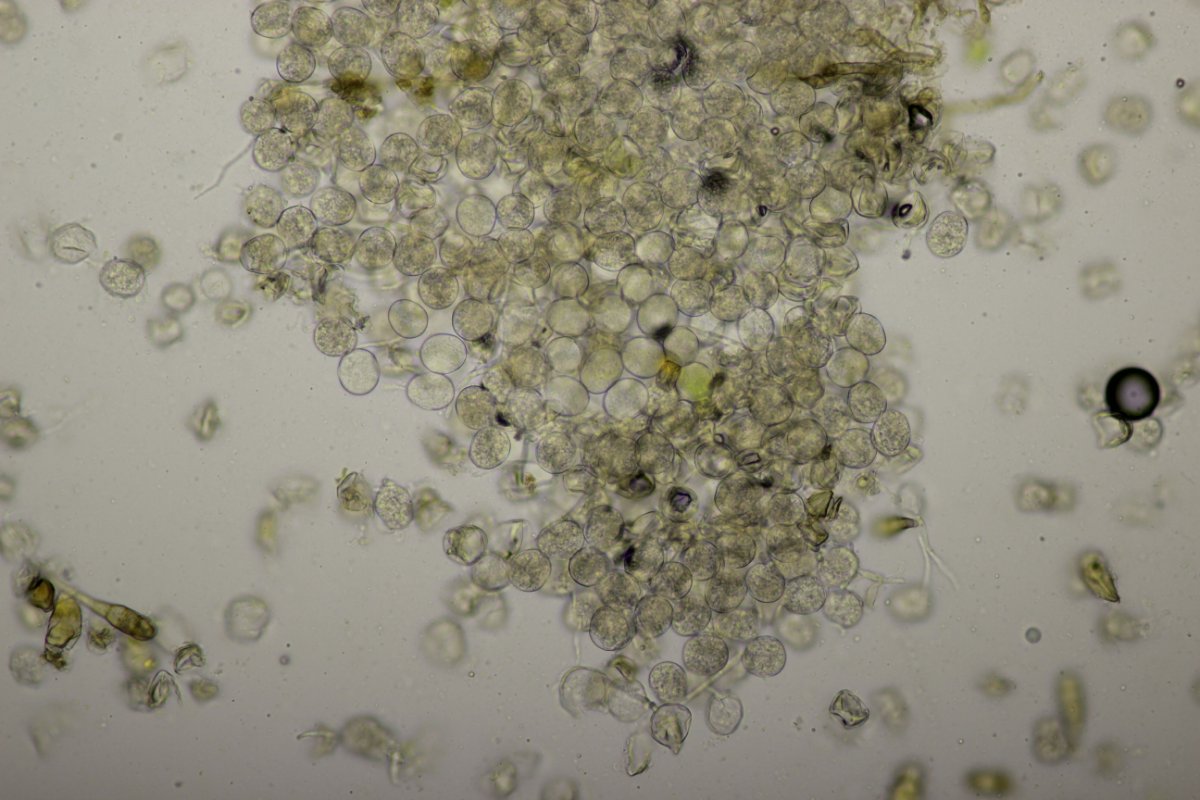 Effringhauser Schweiz-0054.jpg