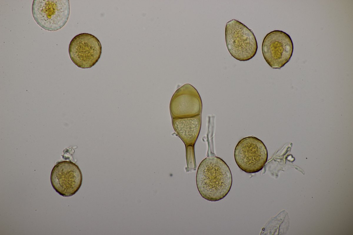 Effringhauser Schweiz-0064.jpg