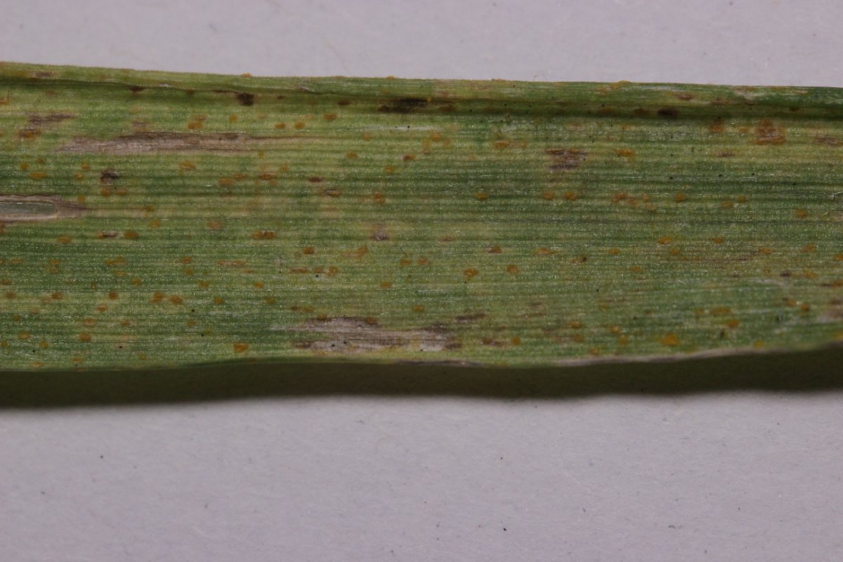 Effringhauser Schweiz-0066.jpg