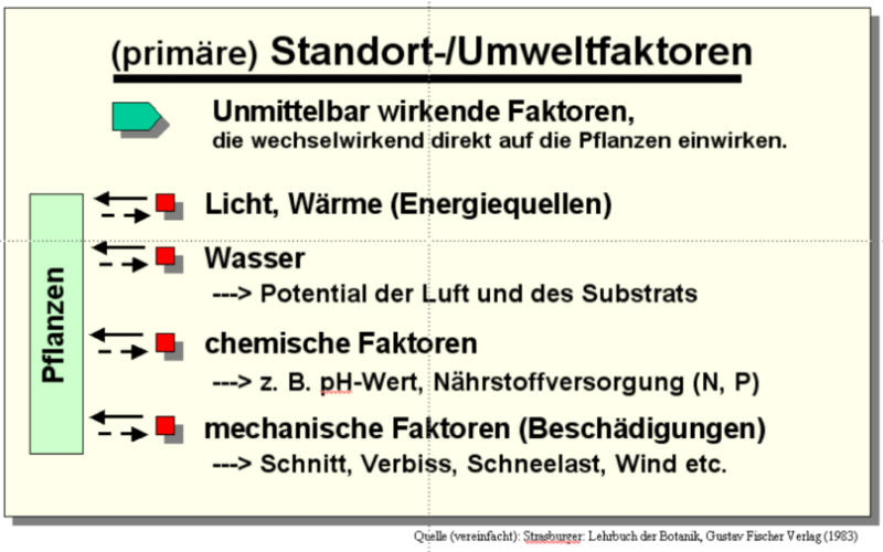 Standortfaktoren(primär).jpg