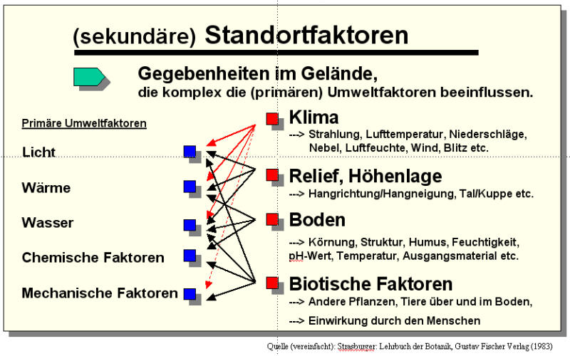 Standortfaktoren(sekundär).jpg