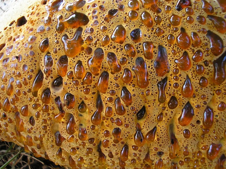 P9220194.JPG