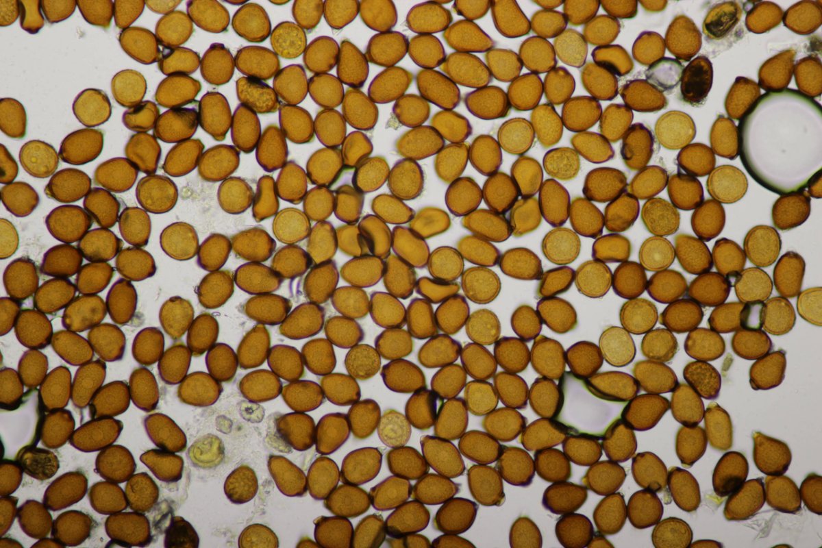 Gleispark Frintrop-0058.jpg