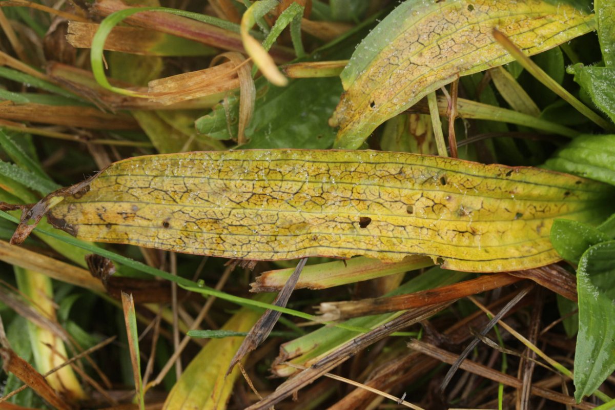 Bad Laasphe-0013.jpg