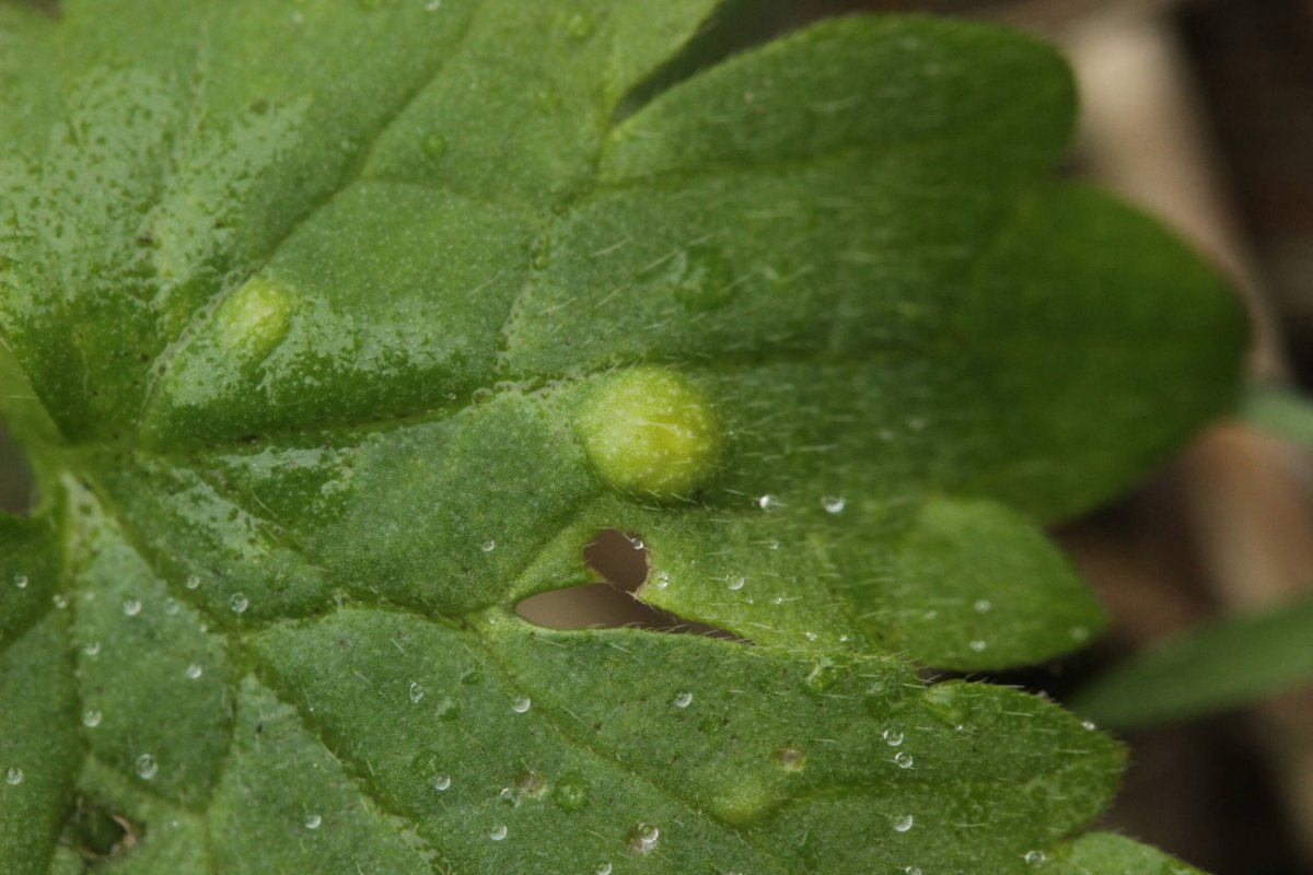 Bad Laasphe-0019.jpg