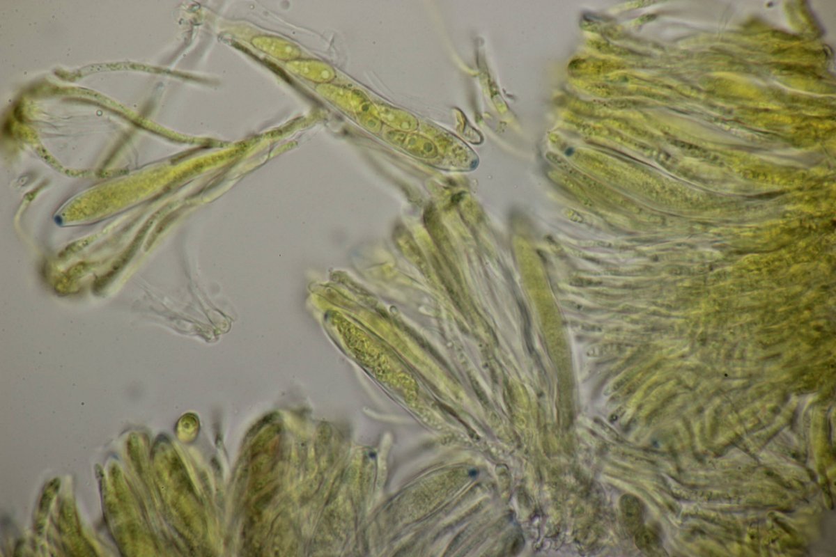 Bad Laasphe-0055.jpg