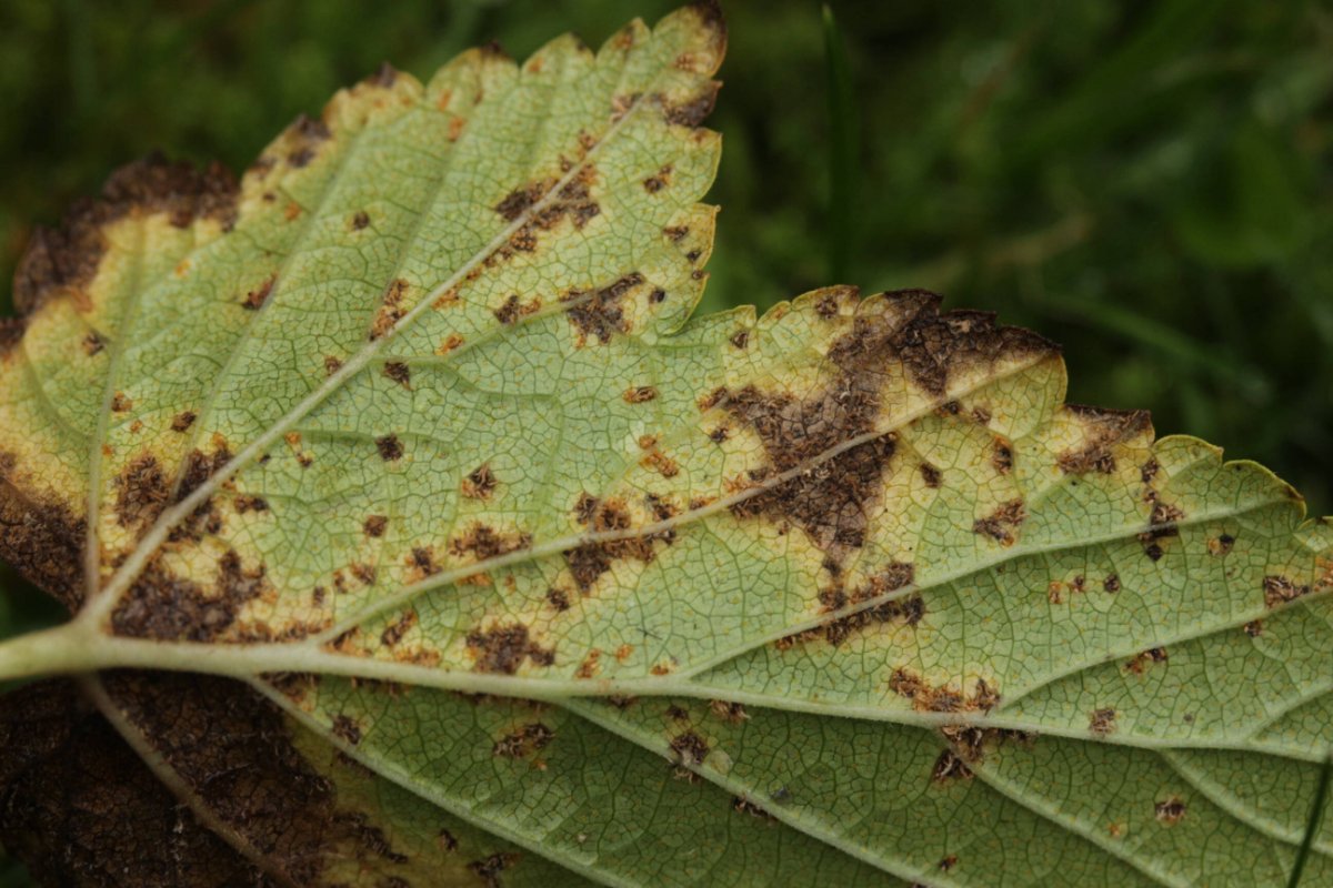 Bad Laasphe-0003.jpg