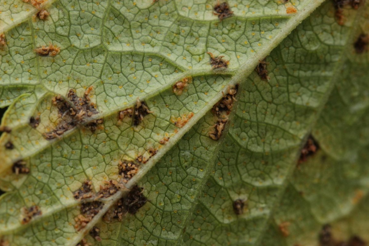 Bad Laasphe-0004.jpg