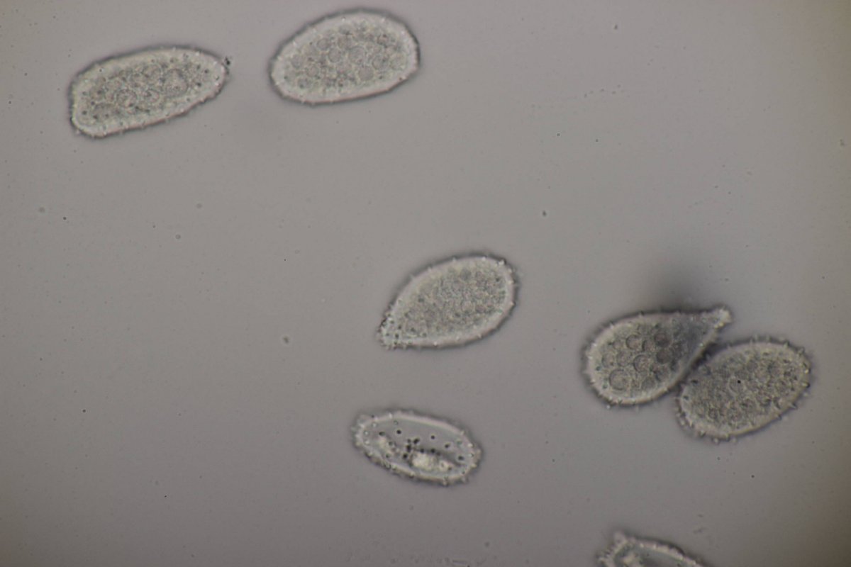 Bad Laasphe-0128.jpg