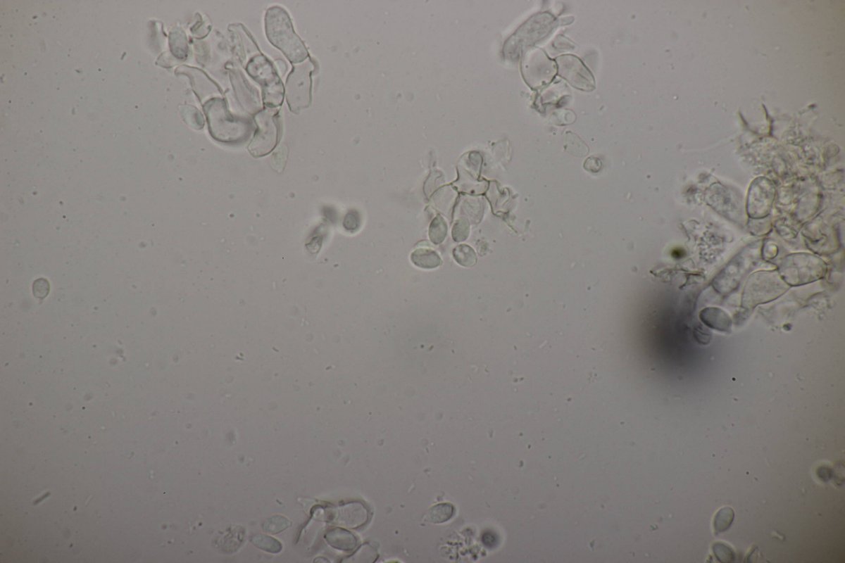 Bad Laasphe-0093.jpg