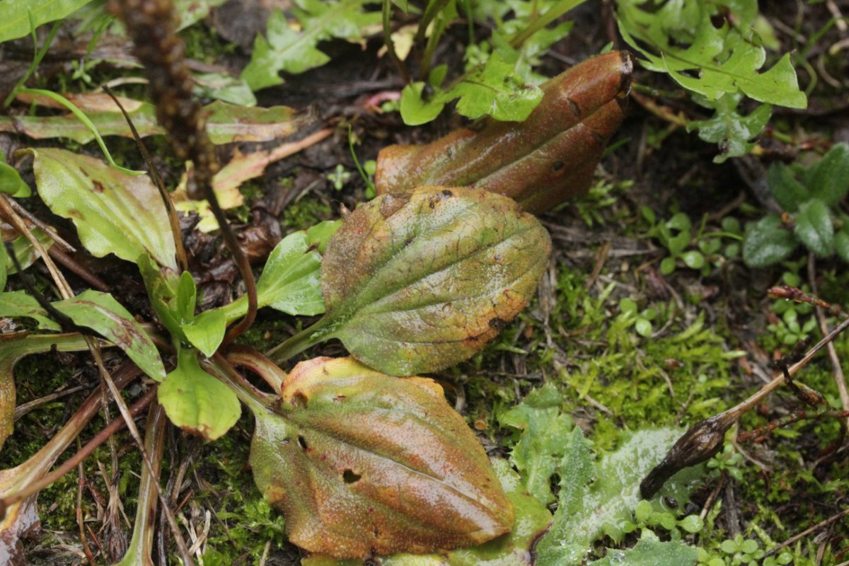 Bad Laasphe-0035.jpg