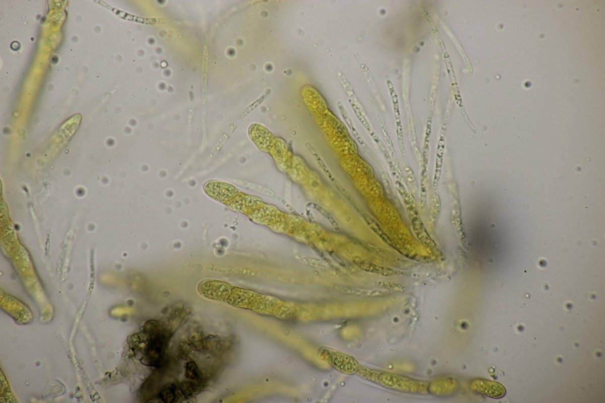 Bad Laasphe-0109.jpg