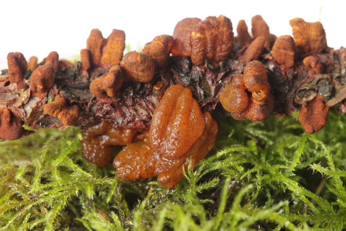 Schloß Berge-0036.jpg