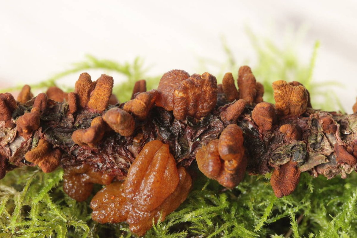 Schloß Berge-0038.jpg