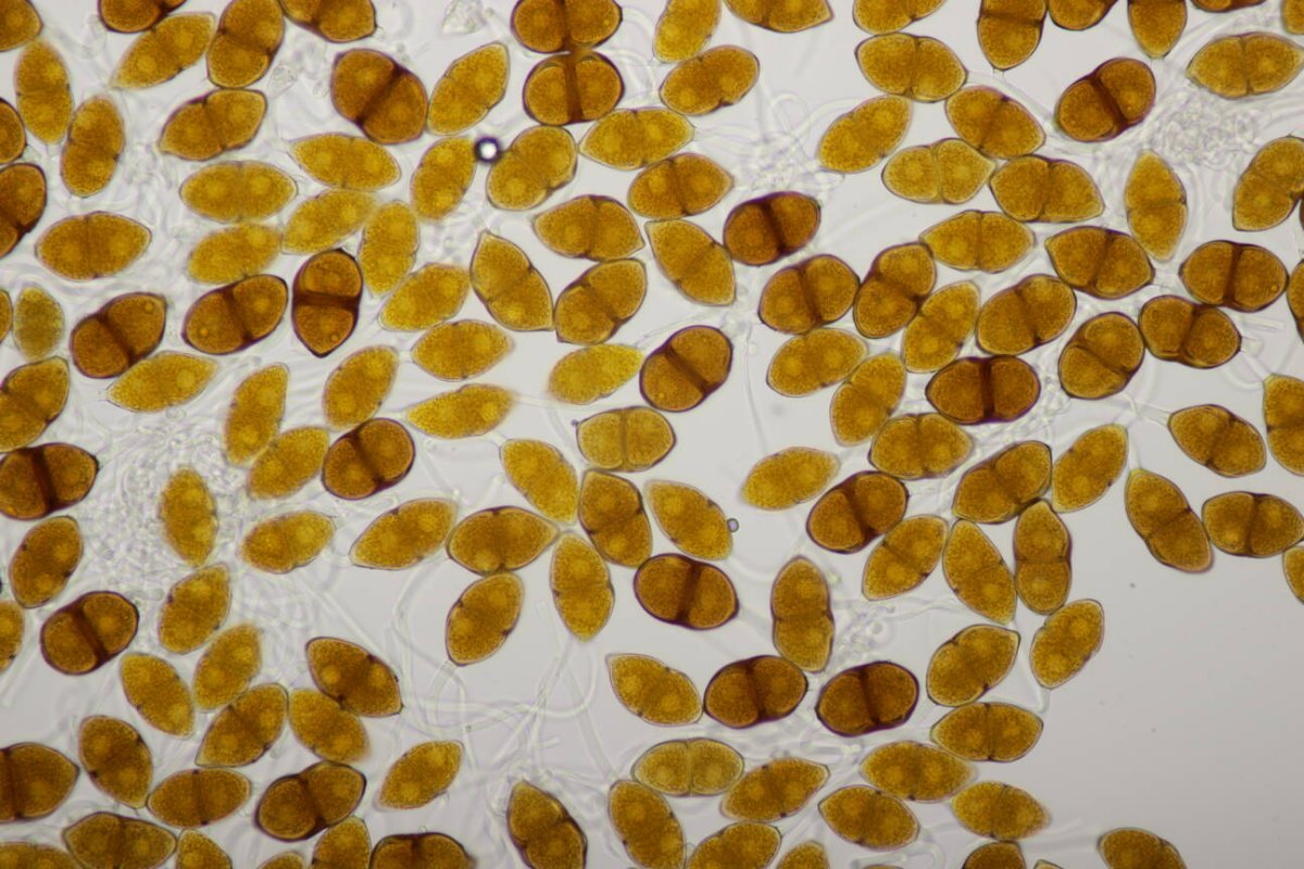 Schloß Berge-0021.jpg