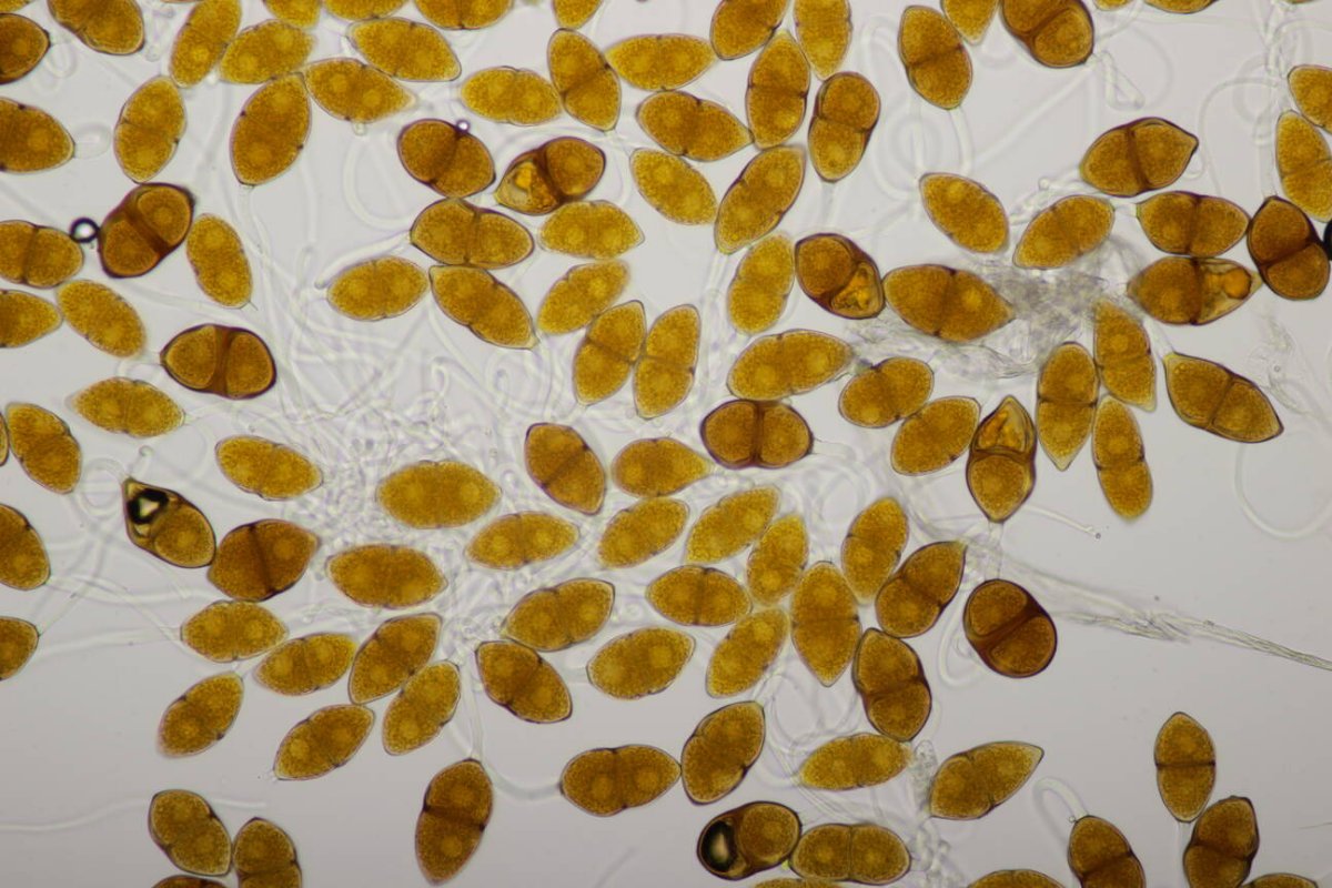 Schloß Berge-0023.jpg