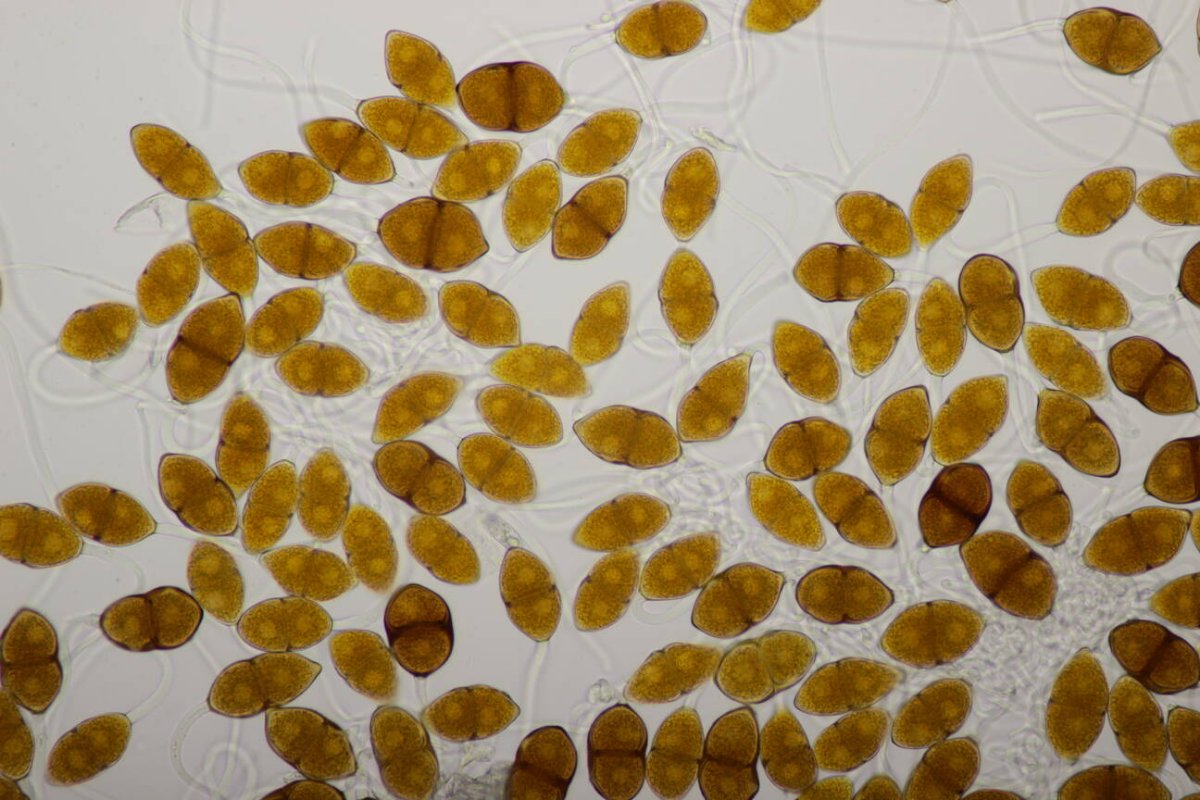 Schloß Berge-0024.jpg