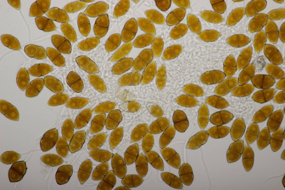 Schloß Berge-0026.jpg