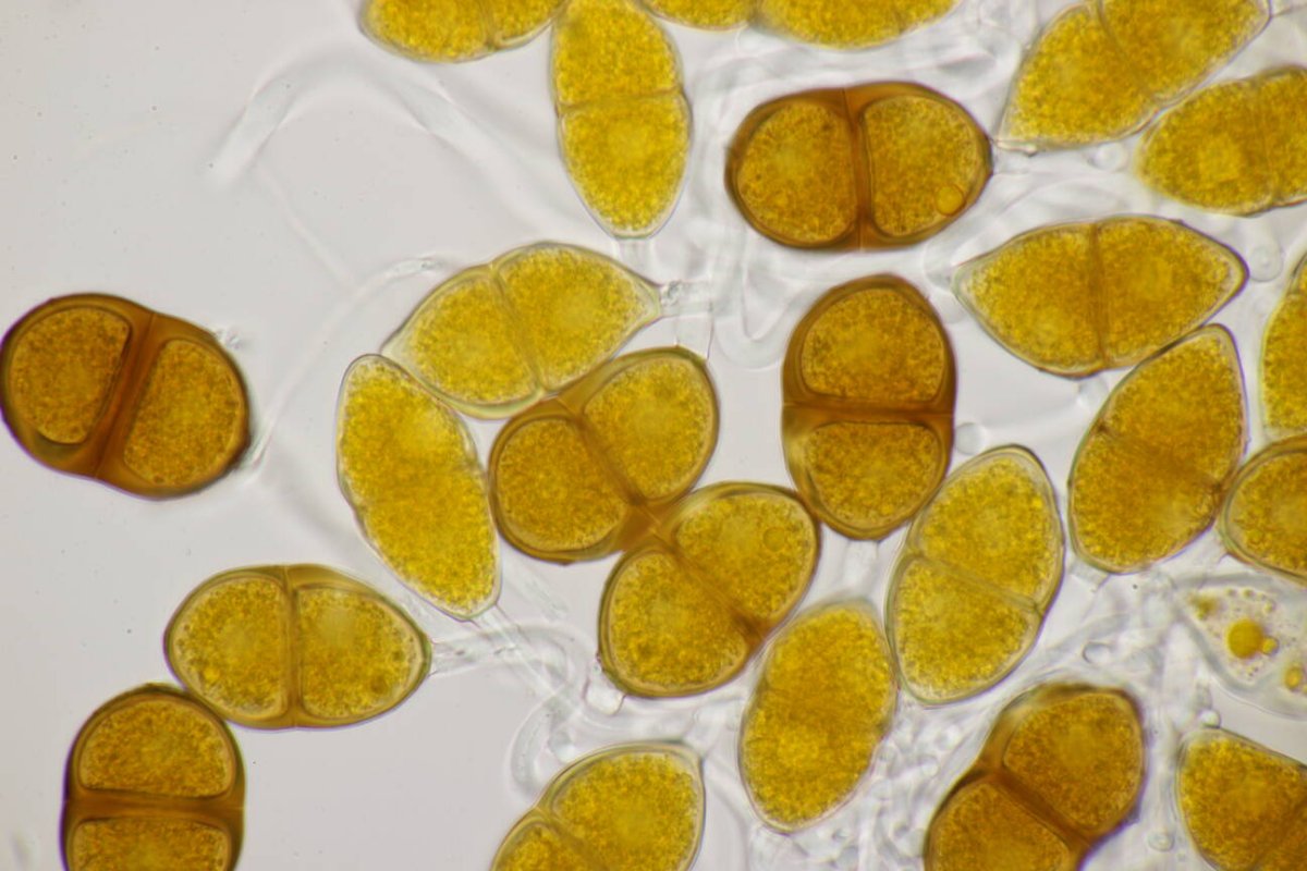 Schloß Berge-0029.jpg