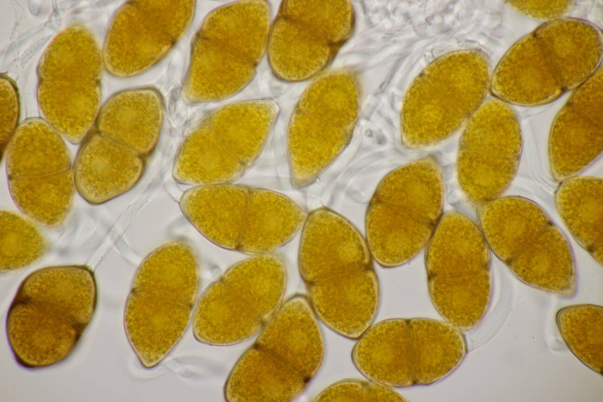 Schloß Berge-0033.jpg