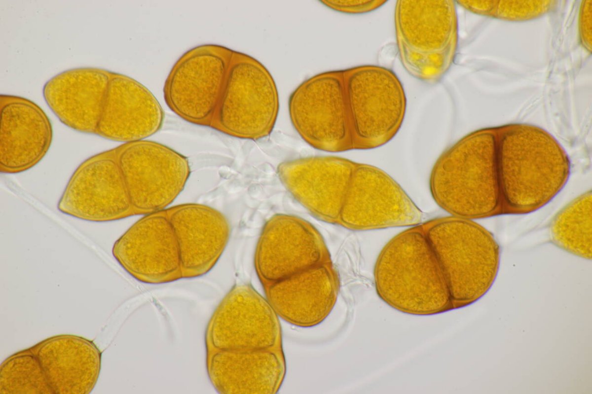 Schloß Berge-0034.jpg