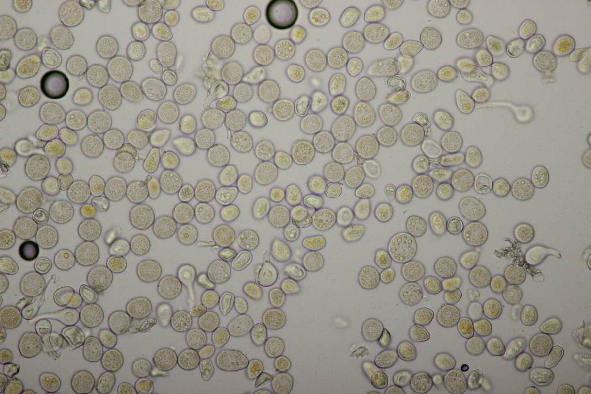 Schloß Berge-0040.jpg