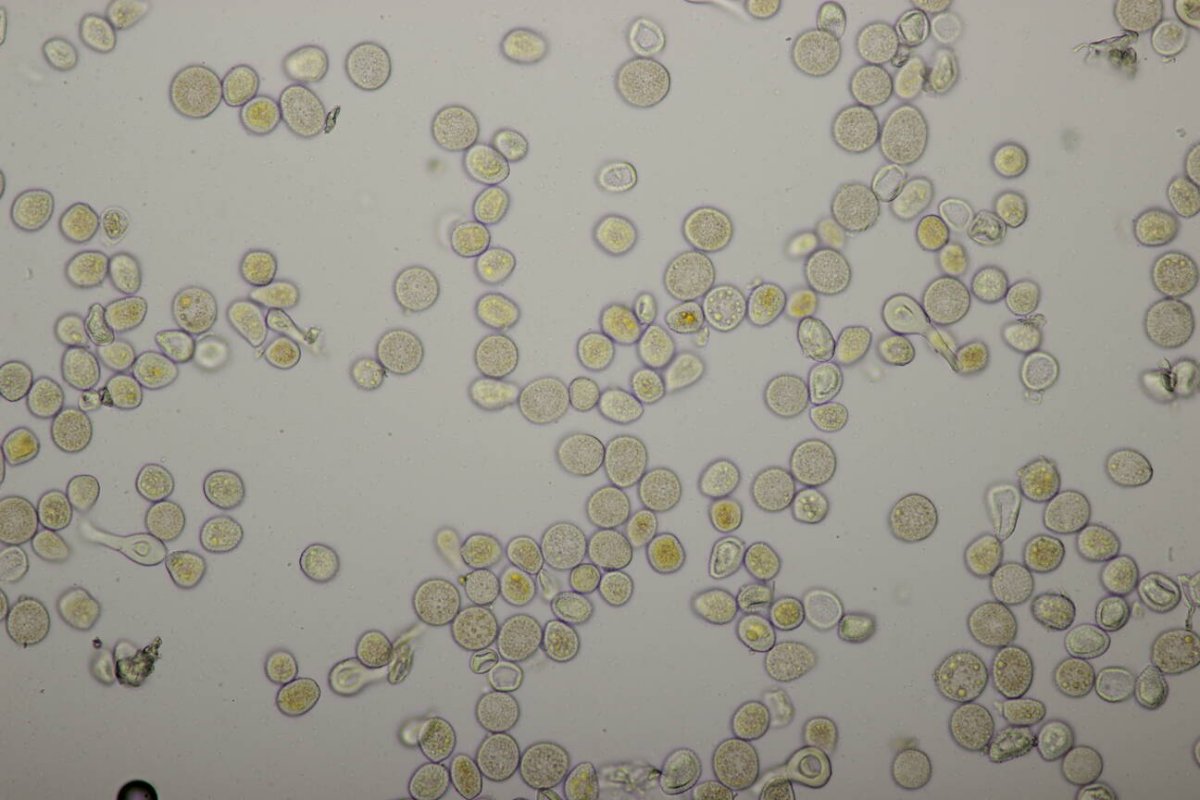 Schloß Berge-0043.jpg