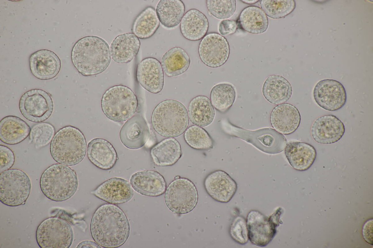 Schloß Berge-0044.jpg