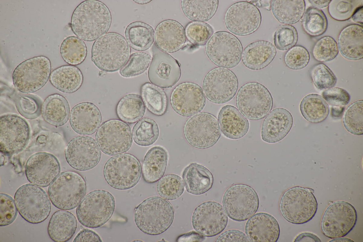 Schloß Berge-0045.jpg