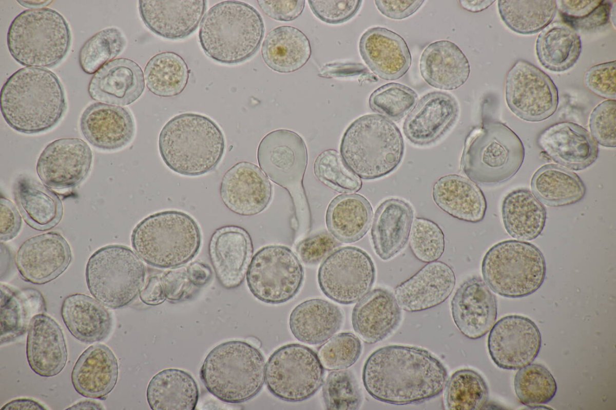 Schloß Berge-0047.jpg