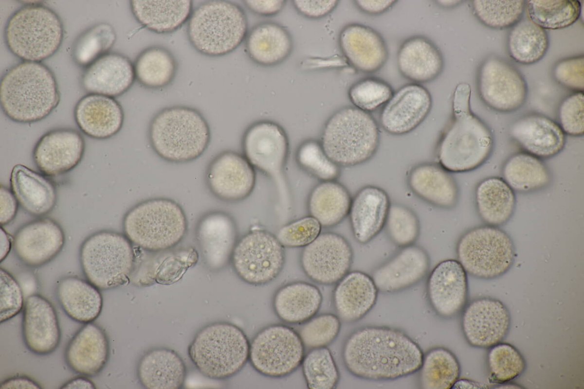 Schloß Berge-0048.jpg