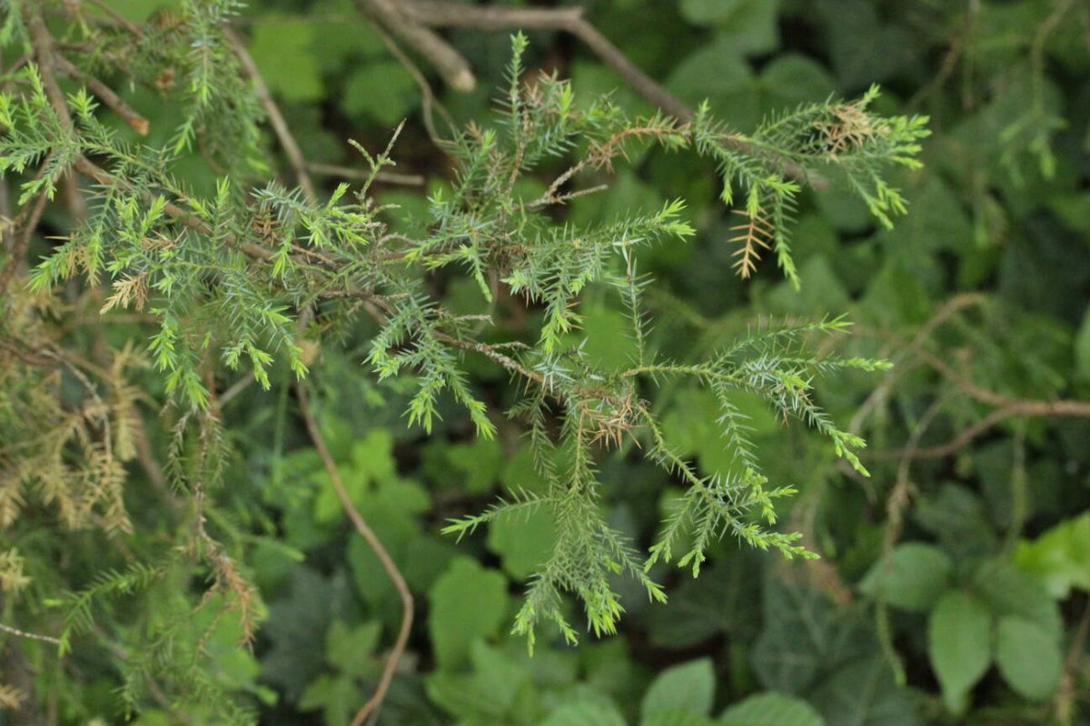 Rhein Duisburg-0001.jpg