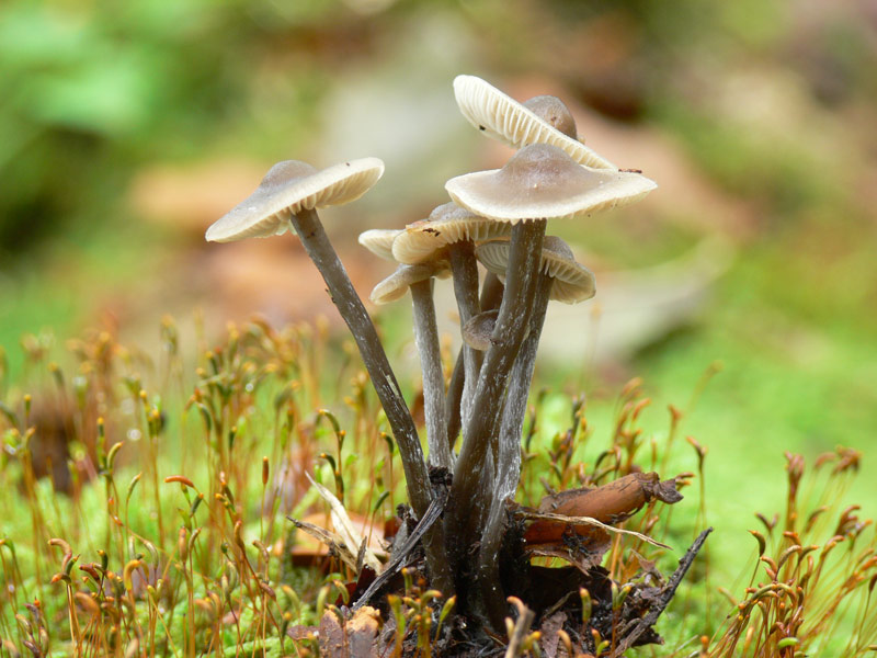 Oktober-2009-126.jpg