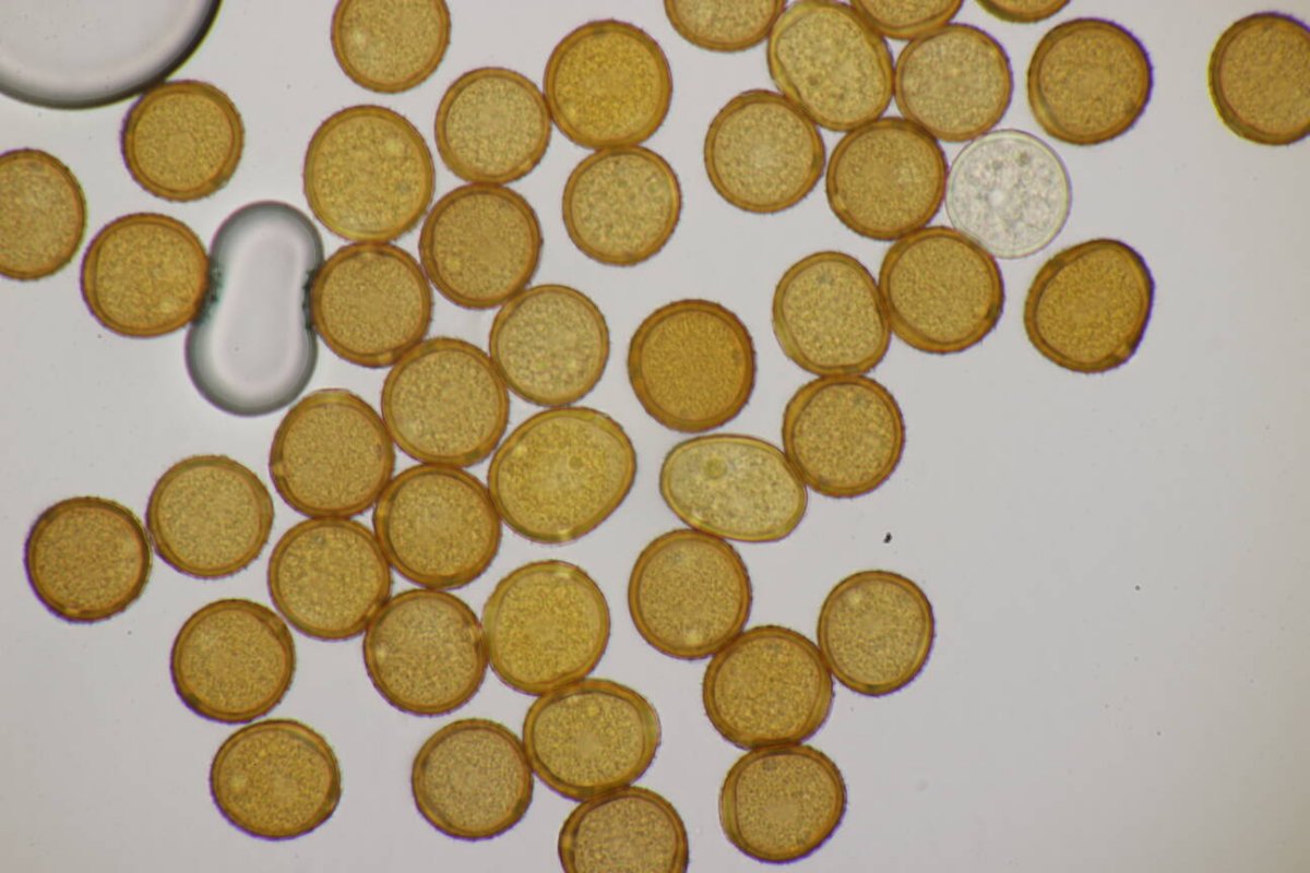 Friedhof Remscheid-0055.jpg