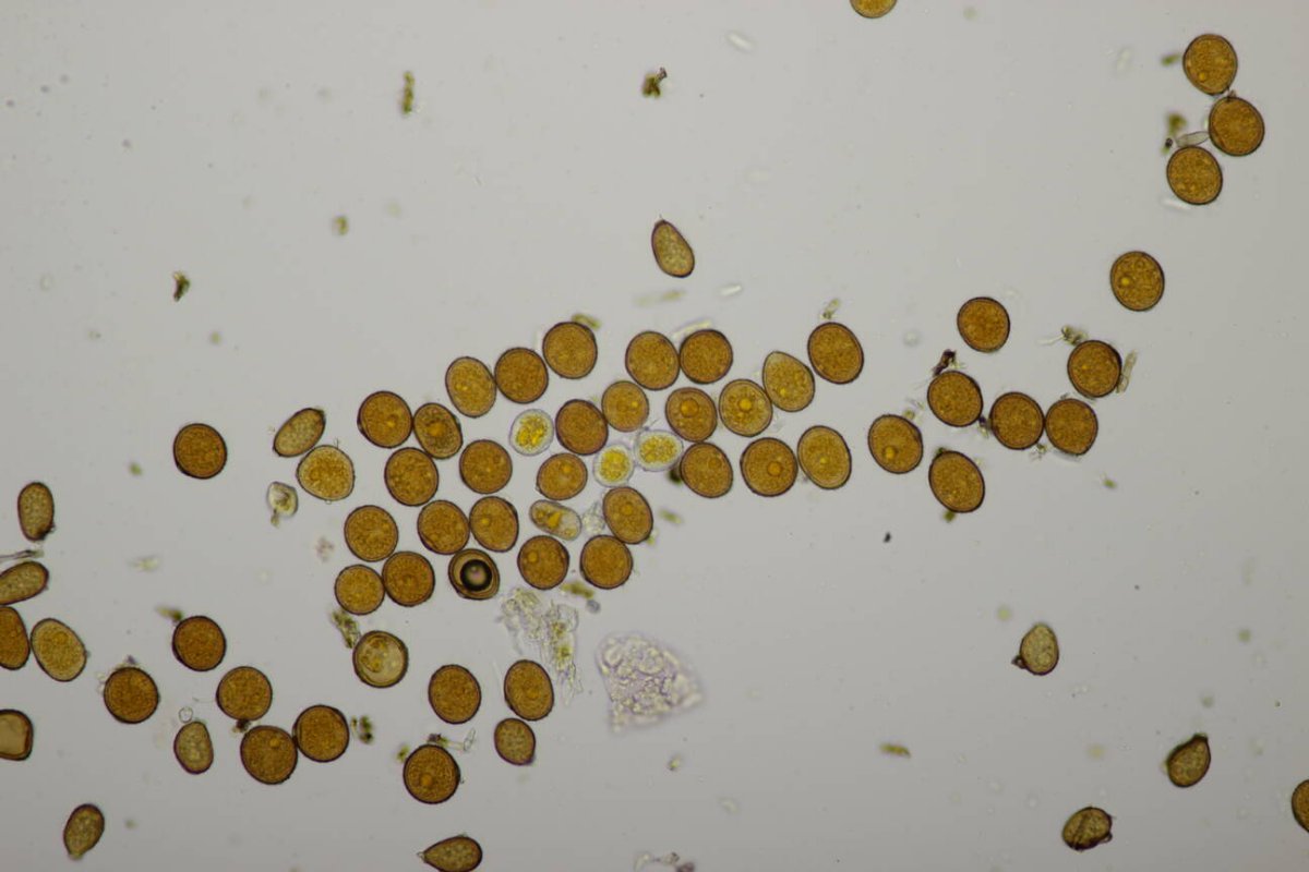 Bad Münster-0120.jpg