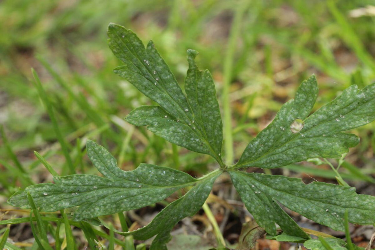 Bad Münster-0061.jpg