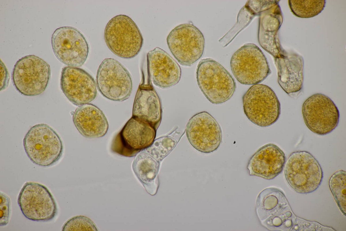 Bad Münster-0197.jpg