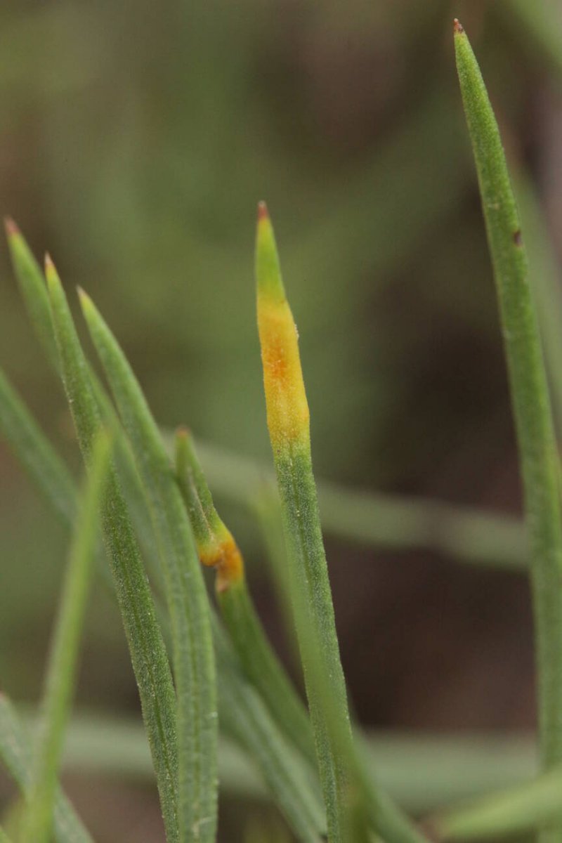 Bad Münster-0014.jpg