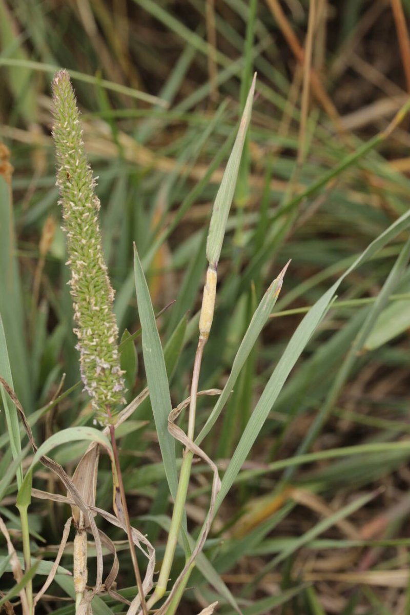 Bad Münster-0021.jpg