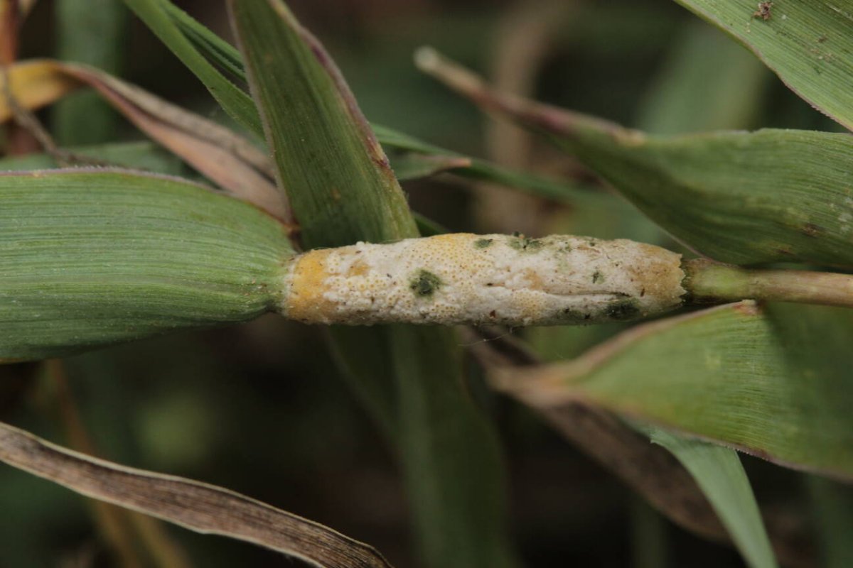 Bad Münster-0023.jpg