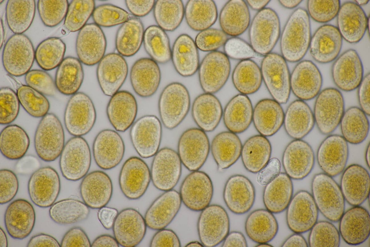 Bad Münster-0159.jpg