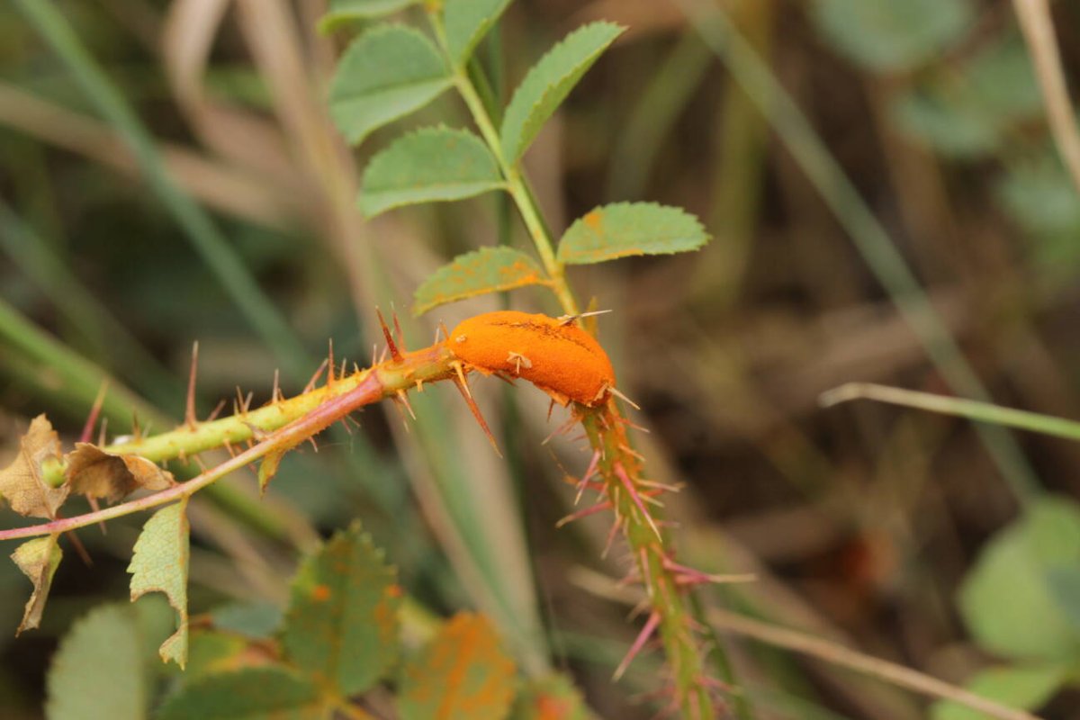 Bad Münster-0038.jpg