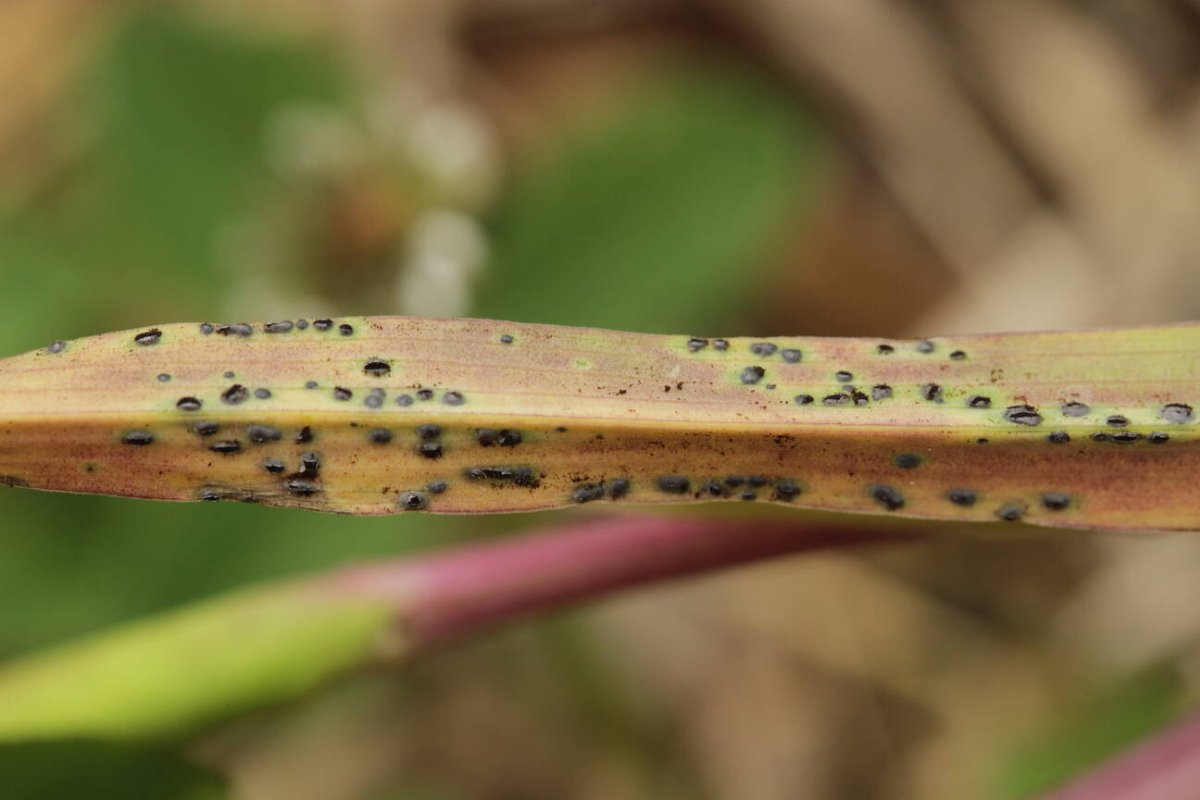 Bad Münster-0053.jpg