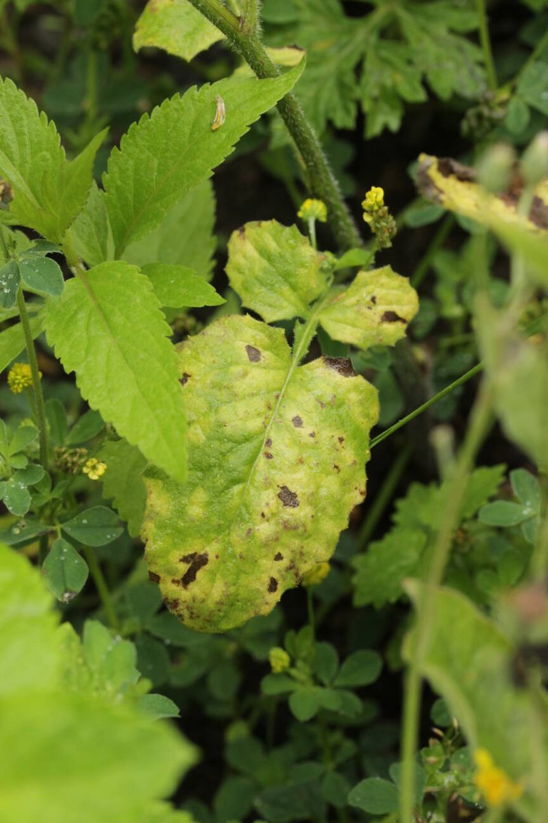 Naturschule Grund-0004.jpg