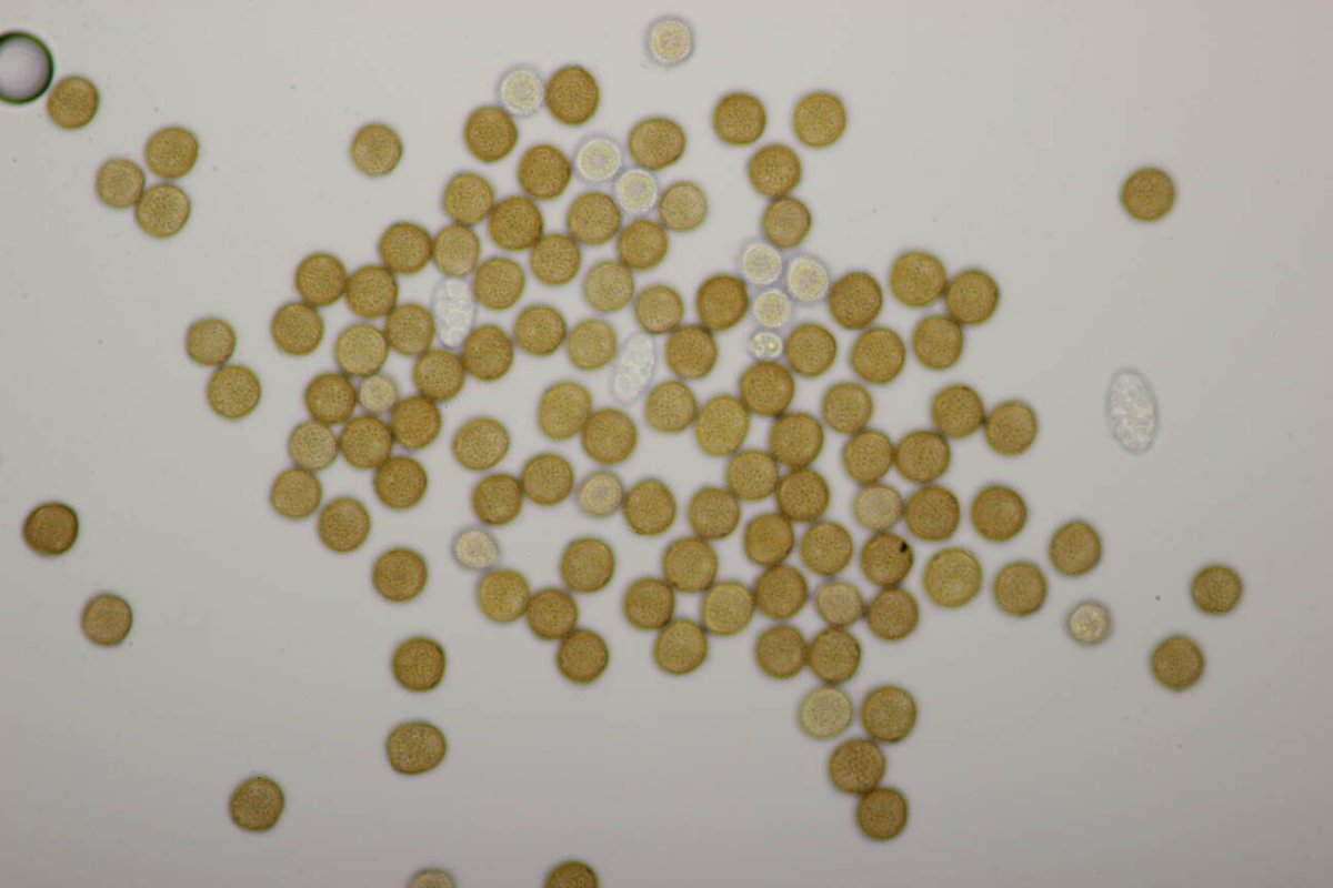 Naturschule Grund-0096.jpg