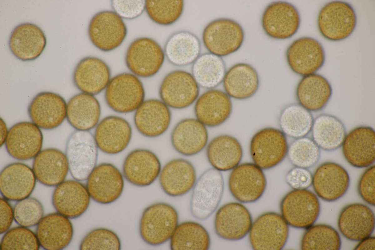 Naturschule Grund-0099.jpg