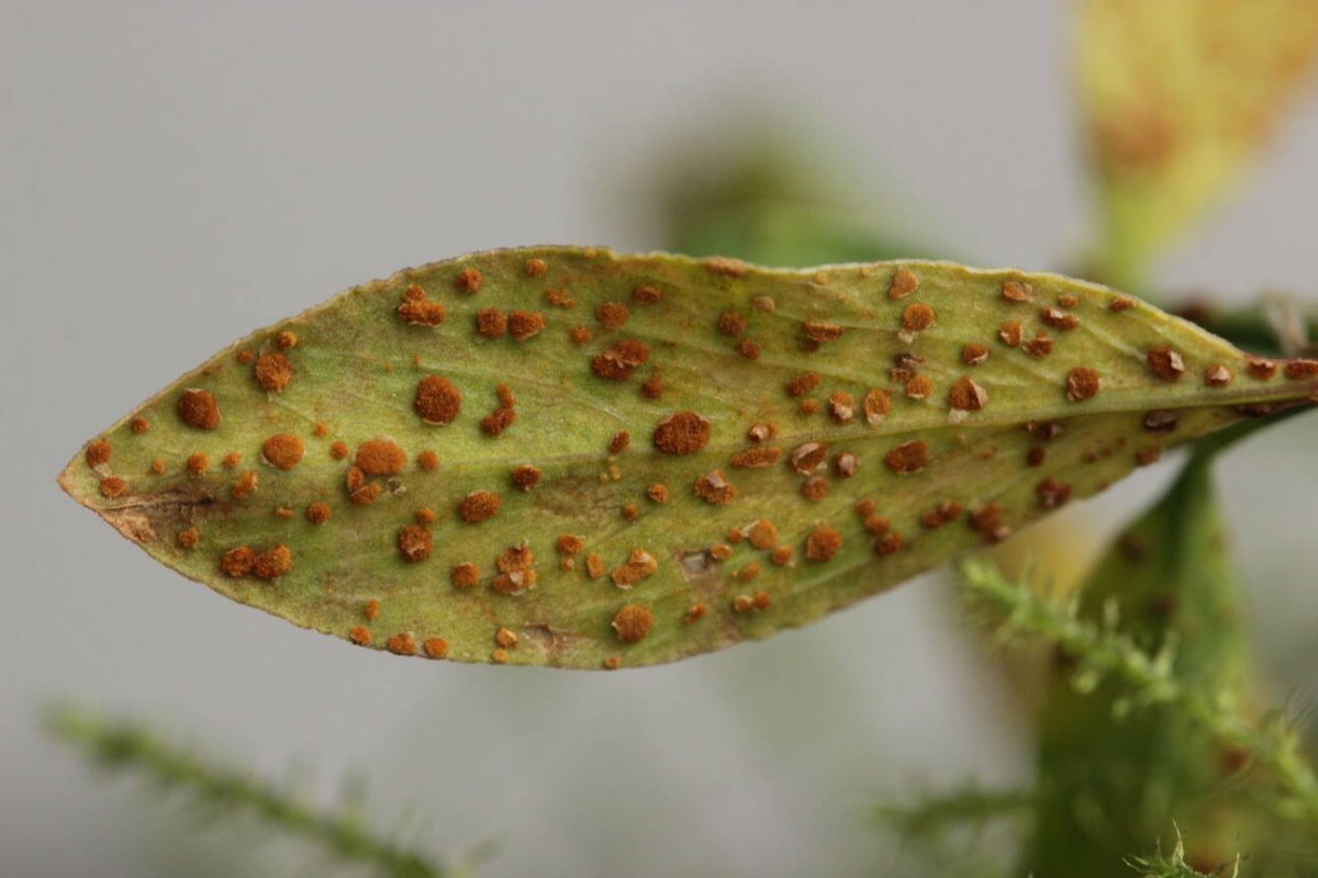 Naturschule Grund-0033.jpg