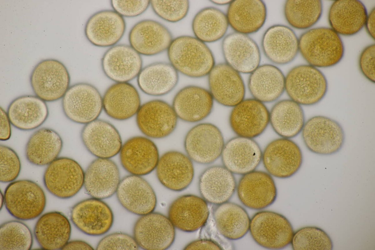 Naturschule Grund-0053.jpg