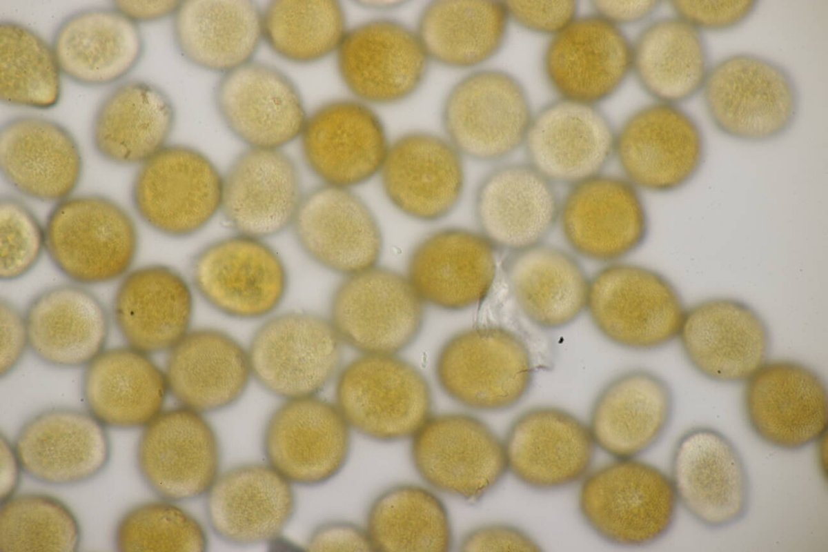 Naturschule Grund-0054.jpg